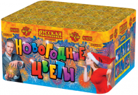 Новогодние цветы Фейерверк купить в Гурьевске Калининградской области | gurevskkaliningradskaya.salutsklad.ru