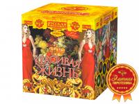 Красивая жизнь Фейерверк купить в Гурьевске Калининградской области | gurevskkaliningradskaya.salutsklad.ru