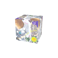 Новогодняя ночь Салют купить в Гурьевске Калининградской области | gurevskkaliningradskaya.salutsklad.ru