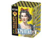 Красотка Батарея салютов купить в Гурьевске Калининградской области | gurevskkaliningradskaya.salutsklad.ru