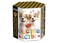 Счастье есть! Салют купить в Гурьевске Калининградской области | gurevskkaliningradskaya.salutsklad.ru