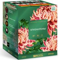 Хризантемы Фейерверк купить в Гурьевске Калининградской области | gurevskkaliningradskaya.salutsklad.ru