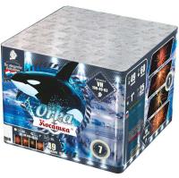 Косатка Фейерверк купить в Гурьевске Калининградской области | gurevskkaliningradskaya.salutsklad.ru