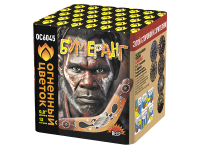 Бумеранг Батарея салютов купить в Гурьевске Калининградской области | gurevskkaliningradskaya.salutsklad.ru