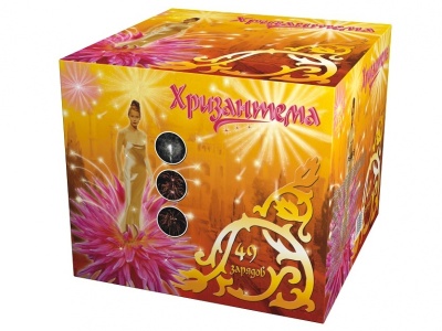 Хризантема Салют купить в Гурьевске Калининградской области | gurevskkaliningradskaya.salutsklad.ru