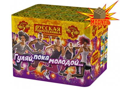 Гуляй, пока молодой... Фейерверк купить в Гурьевске Калининградской области | gurevskkaliningradskaya.salutsklad.ru