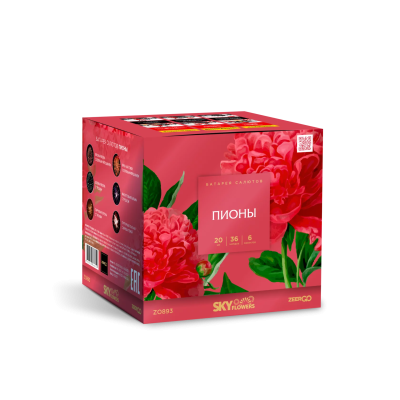 Пионы Салют купить в Гурьевске Калининградской области | gurevskkaliningradskaya.salutsklad.ru