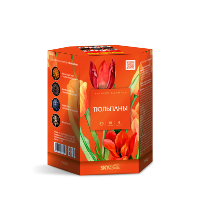 Тюльпаны Салют купить в Гурьевске Калининградской области | gurevskkaliningradskaya.salutsklad.ru
