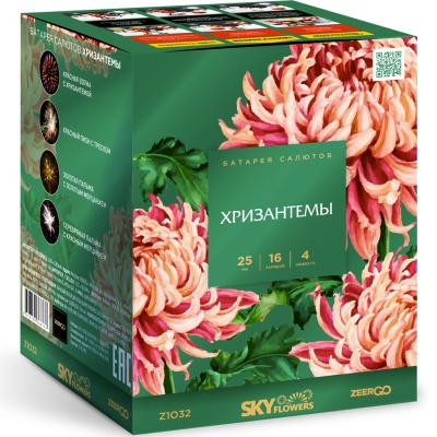 Хризантемы Фейерверк купить в Гурьевске Калининградской области | gurevskkaliningradskaya.salutsklad.ru