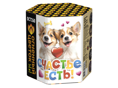 Счастье есть! Салют купить в Гурьевске Калининградской области | gurevskkaliningradskaya.salutsklad.ru