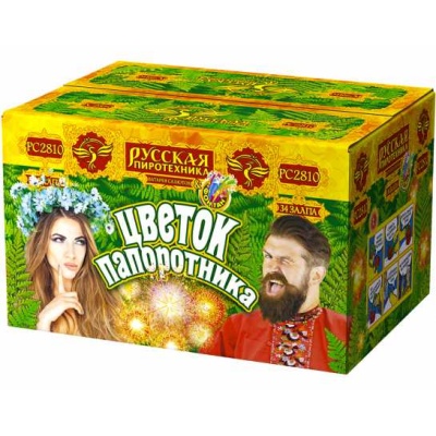 Цветок папоротника Фонтан фейерверк купить в Гурьевске Калининградской области | gurevskkaliningradskaya.salutsklad.ru