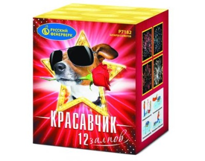 Красавчик Салют купить в Гурьевске Калининградской области | gurevskkaliningradskaya.salutsklad.ru